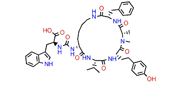 Ferintoic acid A